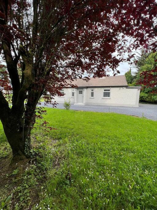 Ballybur Cottage Kilkenny Extérieur photo